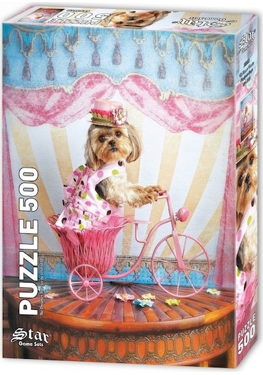 Star Puzzle 500 Parça Hayalperest Gezgin Puzzle