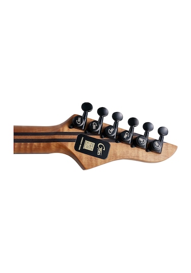 Gtrs M810 Grb Elektro Gitar