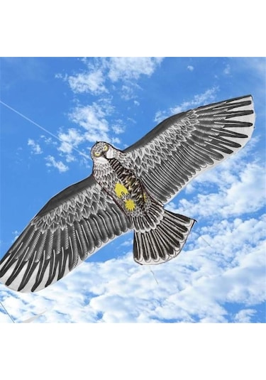 Kartal Uçurtma Kartal Kuş Desenli Uçurtma