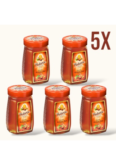 Balarısı Kestane Balı 5 x 460 G