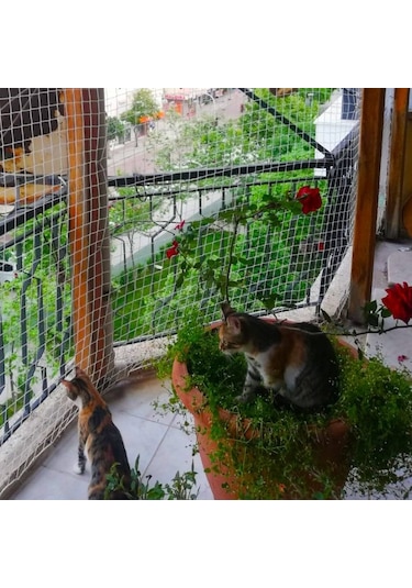 Morilu Kedi Filesi – 4 cm – 2.5 mm İp – Kedi Ağı – Kare Desen