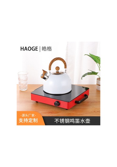 Hangfox 2.5 Litre Çelik Çalıcı Kettle: Kalın Tabaka, Gaz Ve Indüksiyon Uyumlu, Evde Pratik Su Kaynatma Aleti Beyaz