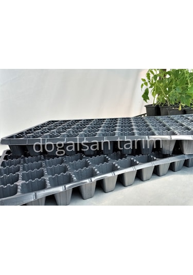 40 Adet Fide Viyol 72 Göz Fide Viyolü Fide Viyolleri Fidelik