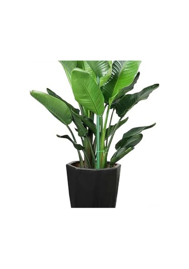 Geeksen Bitkiler İçin Yüksek Dayanıklı Plastik Destek Sütunları - Yığılabilir Tasarım, 5 Adet Sütun + 20m Bağlama İpi, İç/çevre Kullanıma Uygun