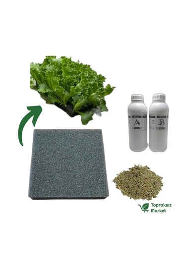 Özka Topraksız Tarım Hidroponik Fide Yetiştirme Seti