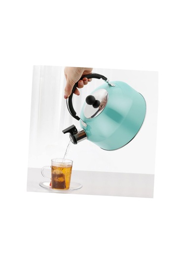 Soba İçin Mavi Paslanmaz Çelik Çay Su Isıtıcısı - Ergonomik Saplı 2 Litre Islıklı Çaydanlık Inox