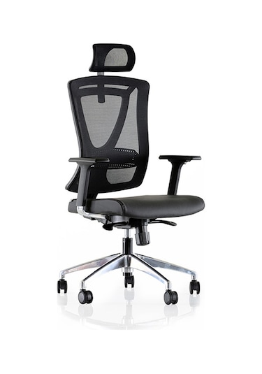 Dekofis Goldsit Ergonomik Yönetici Koltuğu