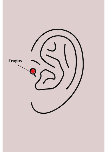 316l Çelik Gümüş Renk Zirkon Taşlı Sallantı Kalp Detay Tragus Piercing Gümüş