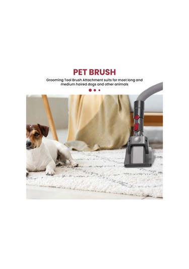 Leasetake V11 V10 V8 V7 Elektrikli Süpürge Yedek Parçaları İçin Bakım Aracı Ve Esnek Uzatma Hortumu Uyumlu