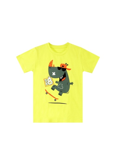 Denokids Kaykay Hipo Erkek Çocuk T-shirt Şort Takım Çok Renkli