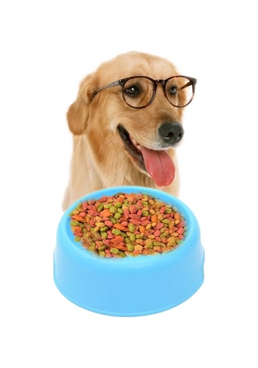 Cbtx Köpek Kedi Hafif Şeker Renk Plastik Malzeme Tekli Evcil Hayvan Kaseleri Mavi