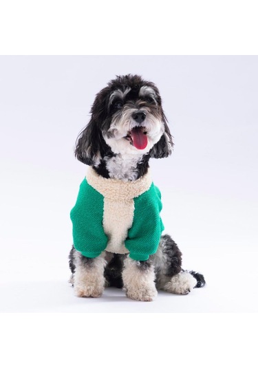 Pawstar Yeşil Alaska Esnek, Küçük Irk Triko Köpek Trikosu