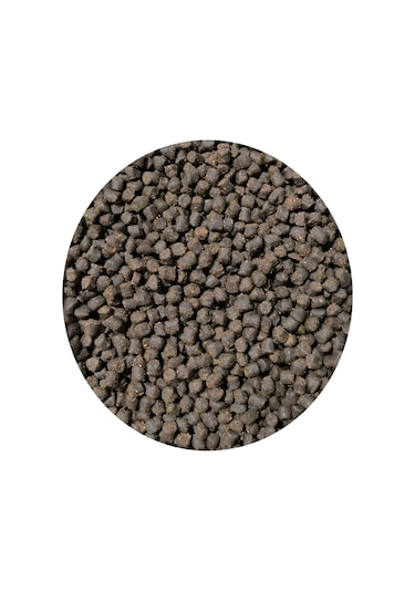 Hedyex 5nm Palet Yem 1kg Sazan Alabalık İçin Palet Yem