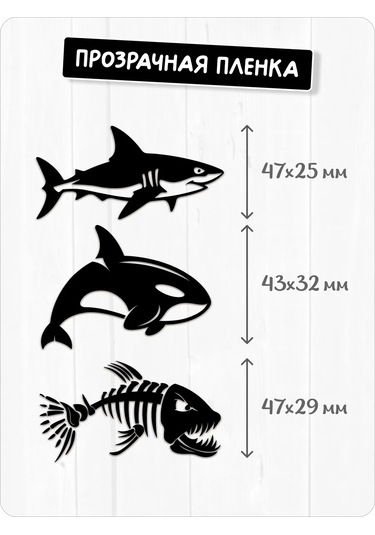 Stadi Devlet Plakası Etiketi Köpekbalığı 226337828