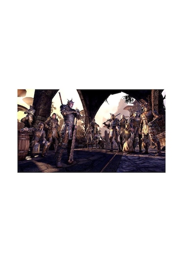 The Elder Scrolls Online Playstation 4 Oyun Cd