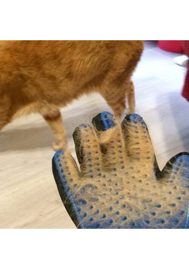 Tüy Toplama Eldiveni Tdrtr