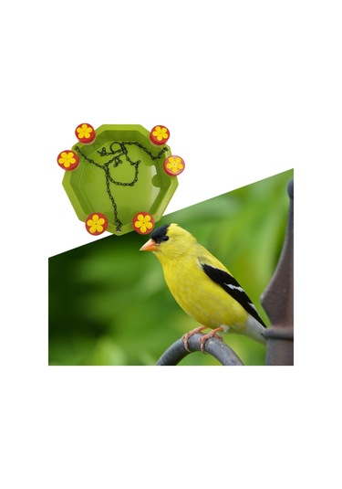 Suntek Arka Bahçe Açık Dekor Için Sinek Kuşu Besleyici