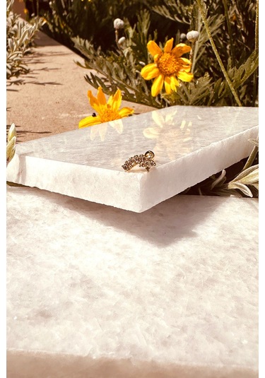 Yıldız Star Tasarım Zirkon Taşlı Şık Altın Renk Çelik Piercing Tragus Helix Stainless Steel Altın