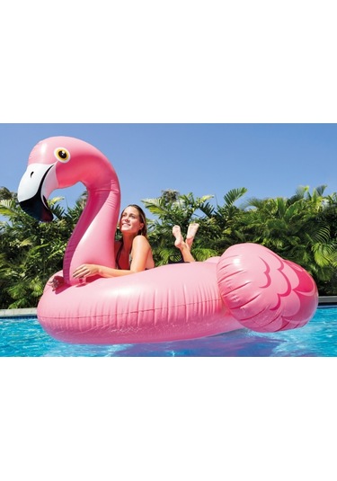 Flamankuşu Figürlü Tırabzanlı Şişme Deniz Yatağı Çok Renkli