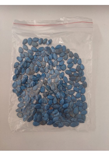 Crimson Sweet Karpuz Tohumu 10 Gr Ort: 200 Adet + 100gr Gübre