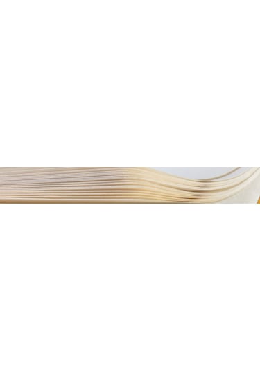 Mm Sanat Günlüğü Signature A3 120sayfa 110gr