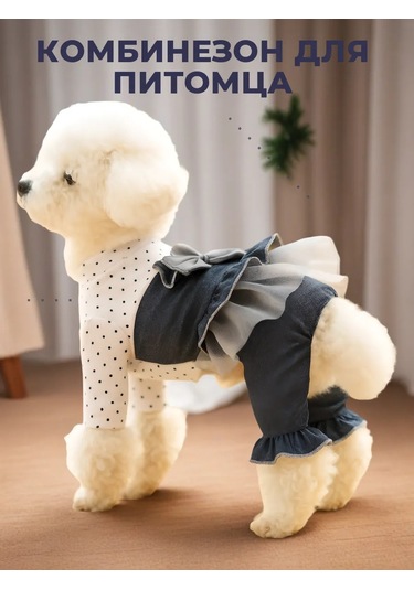 Best Golden Monkey Köpekler İçin Tulum 450280287