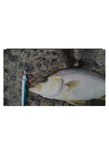 Jackall Big Backer Jig Slide Stick 10.7cm 60gr Jig Yemi