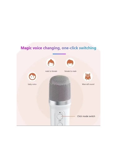 Blue Spectrum YS 110 RGB Led Işıklı Karaoke Mikrofonlu Taşınabilir Kablosuz Hoparlör