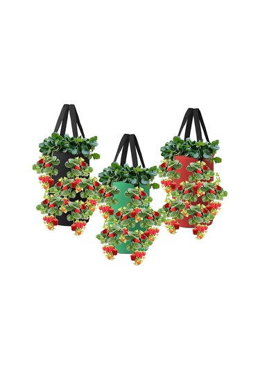 Suofeng Çok Ağızlı Çilek Dikim Çantası - 3 Galon, 12 Delikli, Dayanıklı Kumaş, Ev Kullanımı İçin İdeal