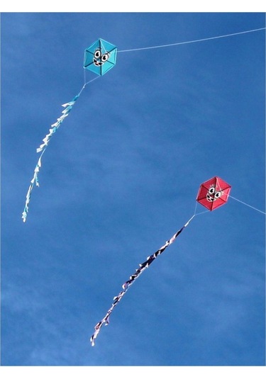 Naylon Altıgen Gülenyüz Uçurtma Orta Boy