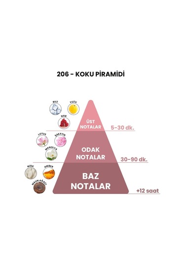 BEX 206 Kadın Parfüm EDP 50 ML
