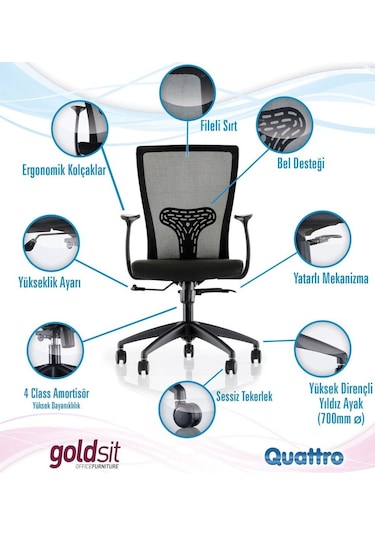 Dekofis Goldsit Quatro 100T Fileli Ofis Şef Çalışma Koltuğu