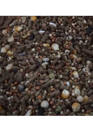 Karışık Kemirgen Yemi Hamster Ginepik Tavşan Yemi 10 Kg