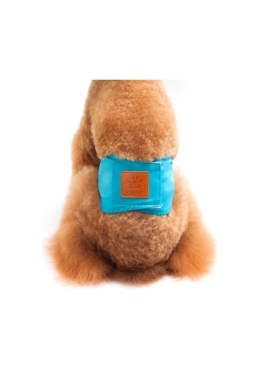 Pet Erkek Köpekler İçin Düz Renk Fizyoloji Pantolon Kibar Ve Taciz Önleyici Köpek Güvenlik Pantolonu, Boyut: Xl Camgöbeği