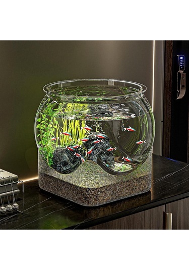 Suntek Ev Dekorasyonu İçin Akvaryum Yeni Başlayanlar Ve M