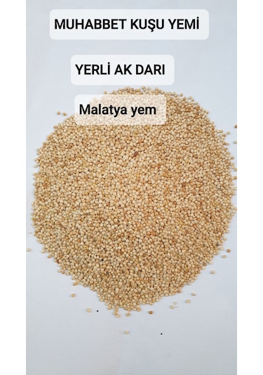 25kg Ak Darı Yeni̇ Mahsul Yerli Darı