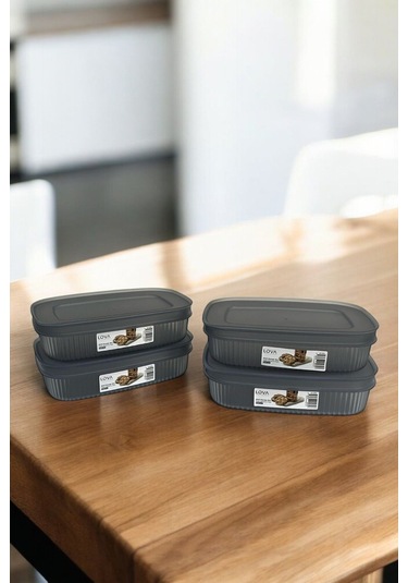 Shell Saklama Kabı Şeffaf 600 Ml, Antrasit, 4'lü Set Şeffaf