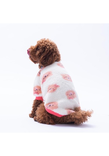 Fluffy Face Ayı Desenli Sweat Kedi Köpek Sweati Kedi Köpek Kıyafeti Köpek Peluşu Sıcak Tutan Sweat