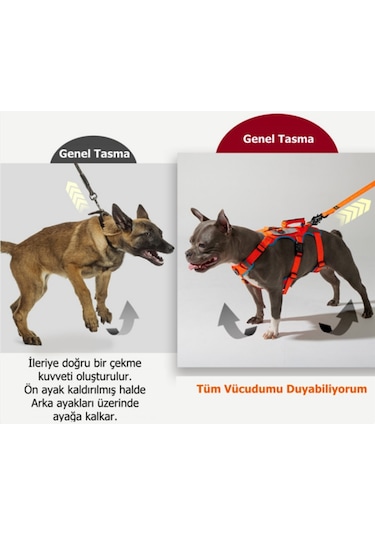 Interlaken Earthtech Slim 3.0 Köpek Göğüs Tasması Mavi - Turuncu L Mavi - Turuncu