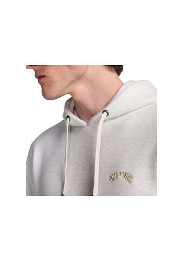 Bıllabong Billabong Arch Po Erkek Bej Sweatshirt Oah