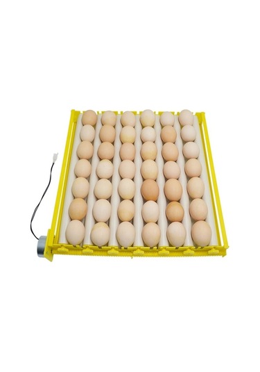 Diğer Otomatik Yumurta Çevirme, Pratik Kuluçka Makinesi - Çiftlik İçin