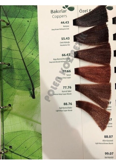 Biomagic Doğal Saç Boyası 60 Ml + Oksidan 90 Ml