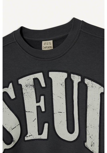 Defacto Antrasit Kız Çocuk Alt-üst Takım E6416a8/ar82 Antrasit