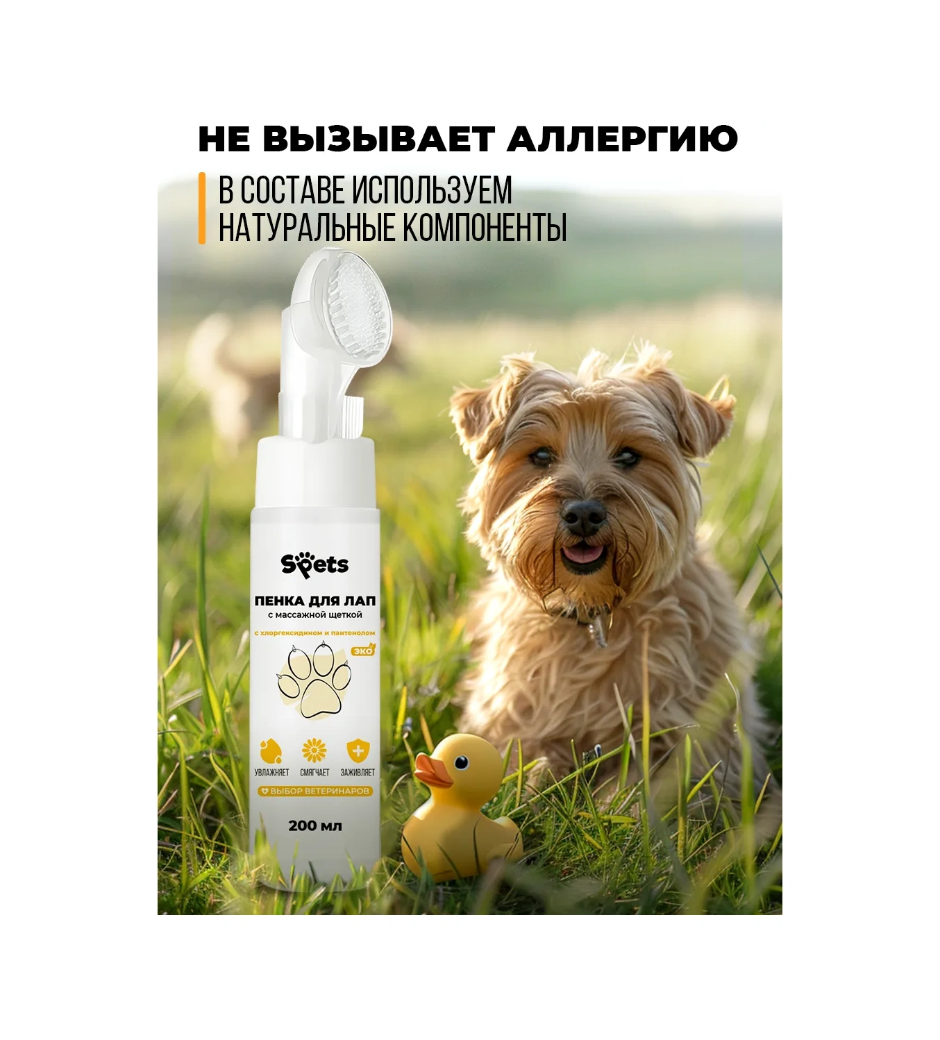Spets Köpek Patileri Yıkamak İçin Fırçalı Ve Klorheksidinli Köpük-sabun 248237382