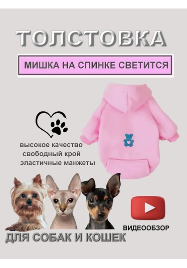 Net Brenda Köpekler Ve Kediler İçin Ayıcık Gece Aydınlatmalı Sweatshirt/kapüşonlu Üst 271651538