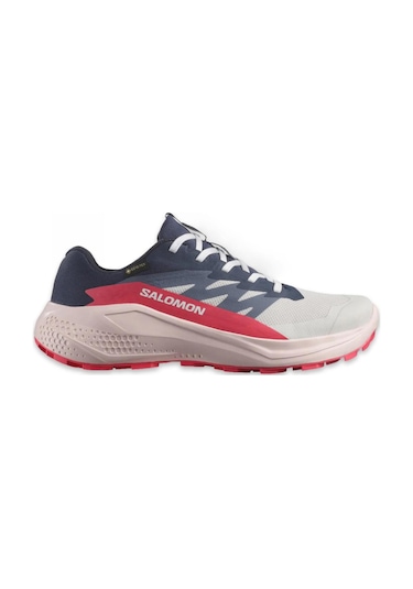 Salomon 478023 Alphaglide Gtx W Patika Koşusu Kadın Spor Ayakkabı Çok Renkli