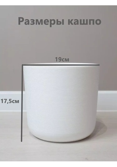 Live-in-green Büyük Yer Flori Şişi 4 Litre 159795529