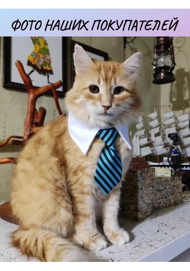 Tevdı Köpekler Ve Kediler İçin Çizgili Askılık Boyun Aksesuarı 91193897