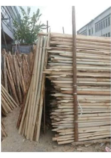 Bahçe Direği 10 Adet 200 Cm Ahşap Direk Fidan Destek Çubuk