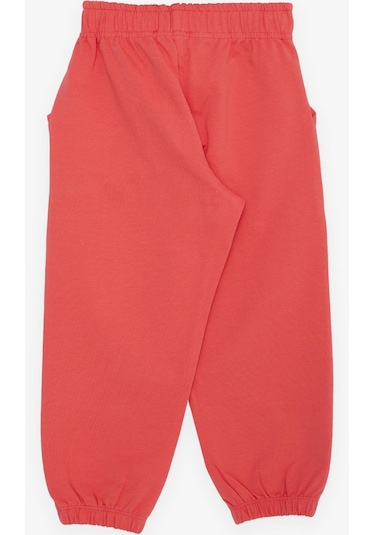 Breeze Kız Çocuk Alt Sevimli Dinozor & Kelebek Nakış Baskılı 1-4 Yaş, Narçiçeği-narçiçeği Narçiçeği